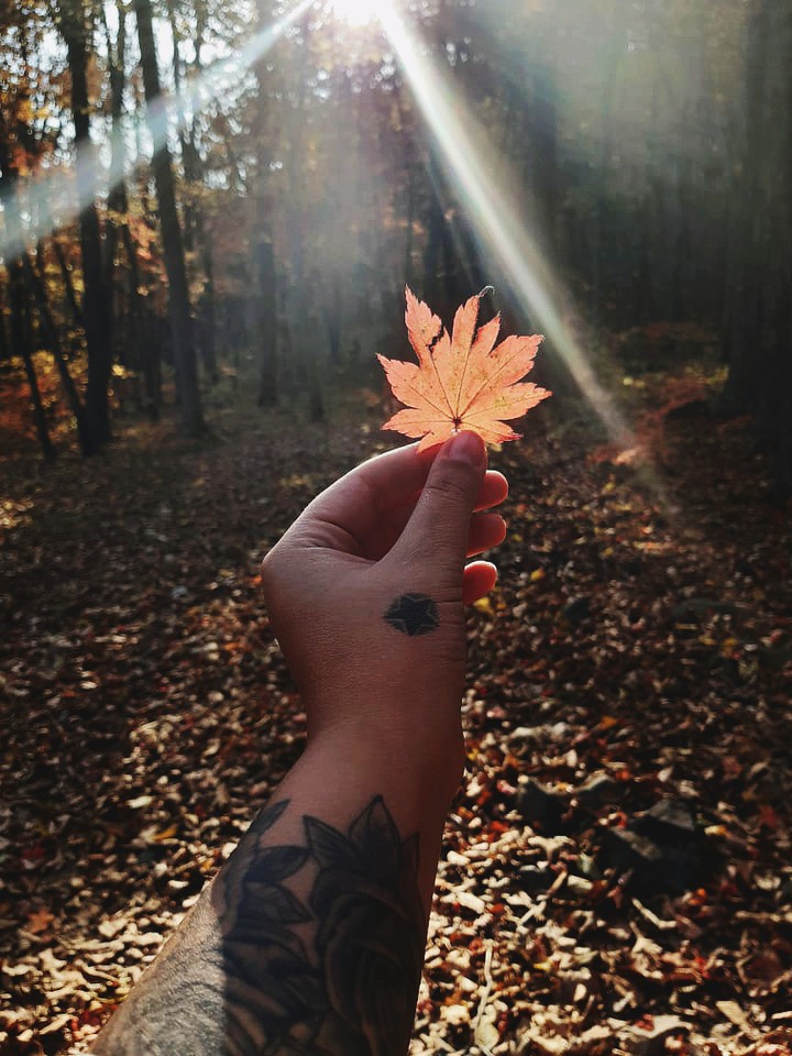 fall