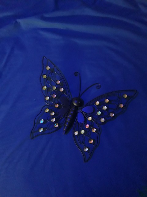 Mariposa