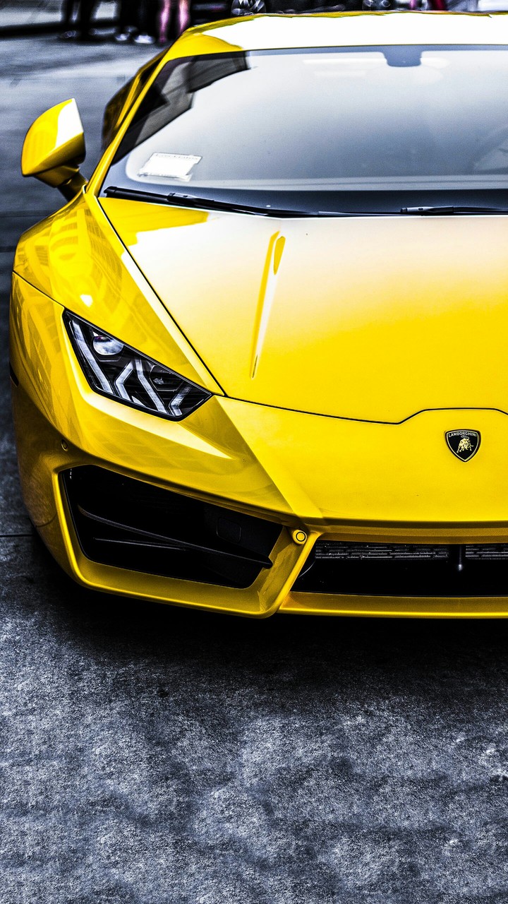 lamborghini