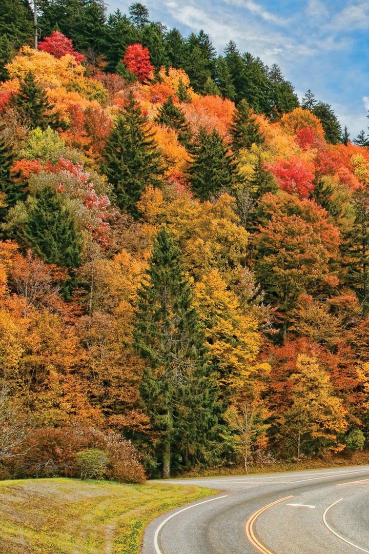 autumn road