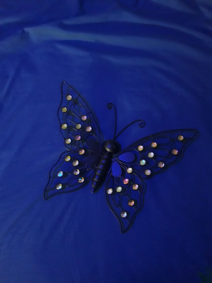 Mariposa