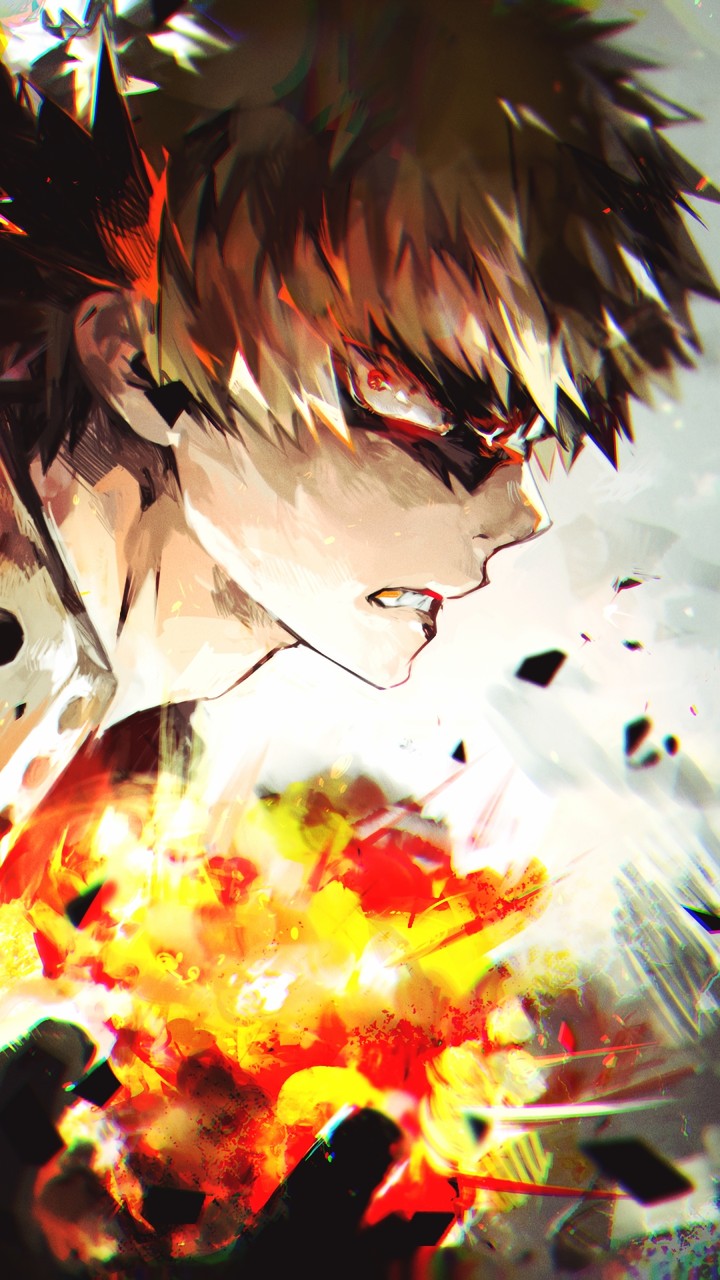 boku no hero academia