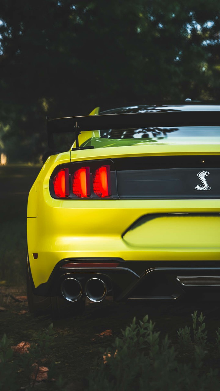 Shelby Mustang