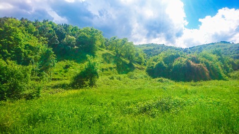greem