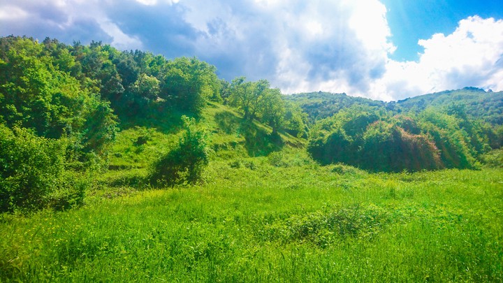 greem