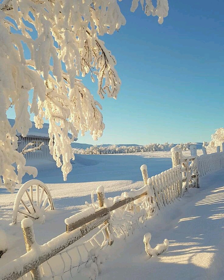 ⚪❄☀️ Snow ❄ white color ⚪ Nature☘❄