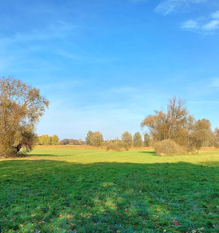 stille Weiten