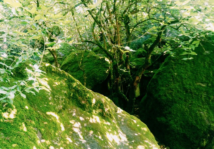 Green rocks