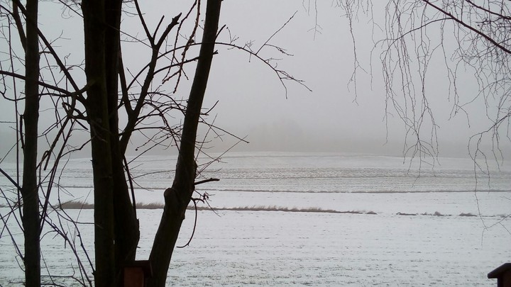 zima