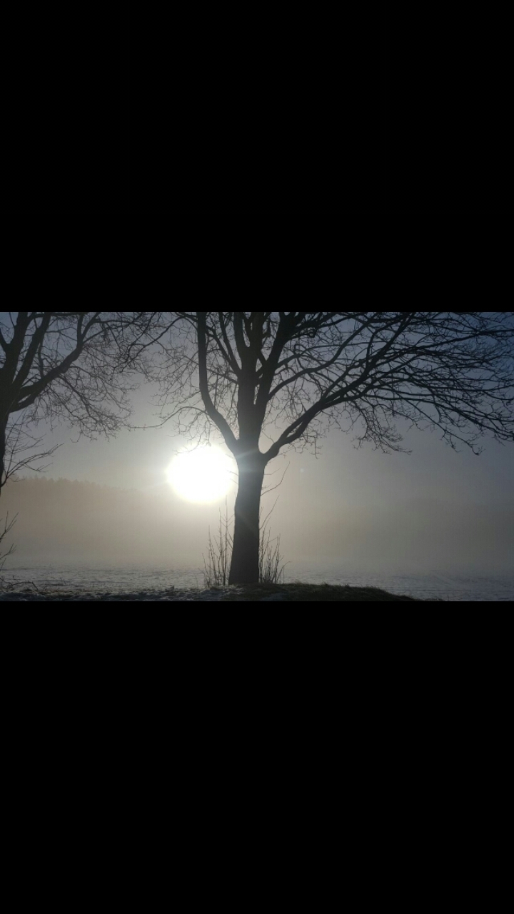 Wintersonne