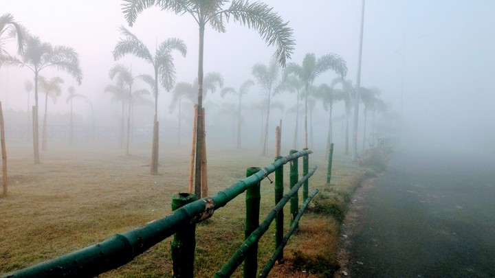 Foggy Road