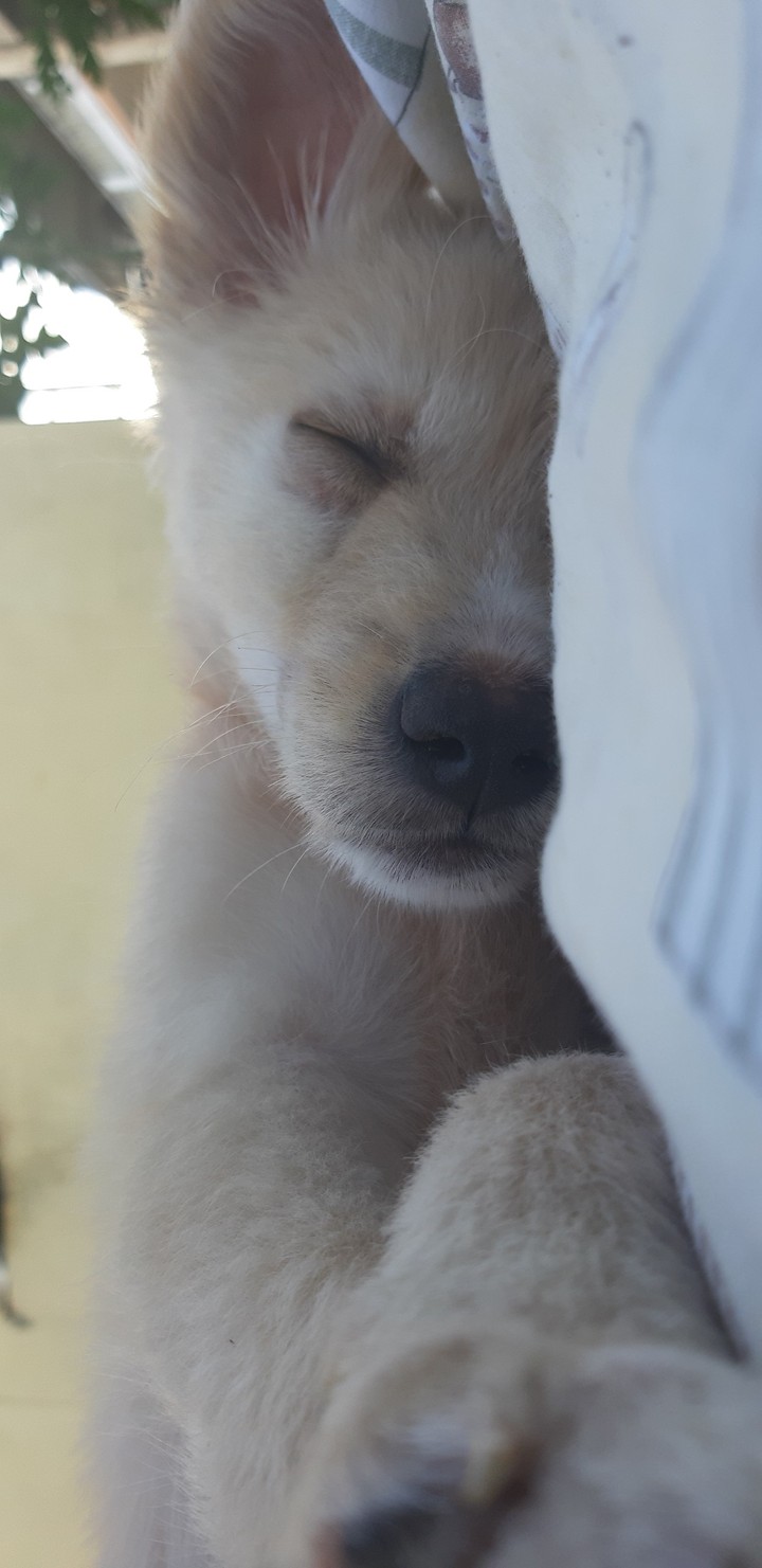 ❤