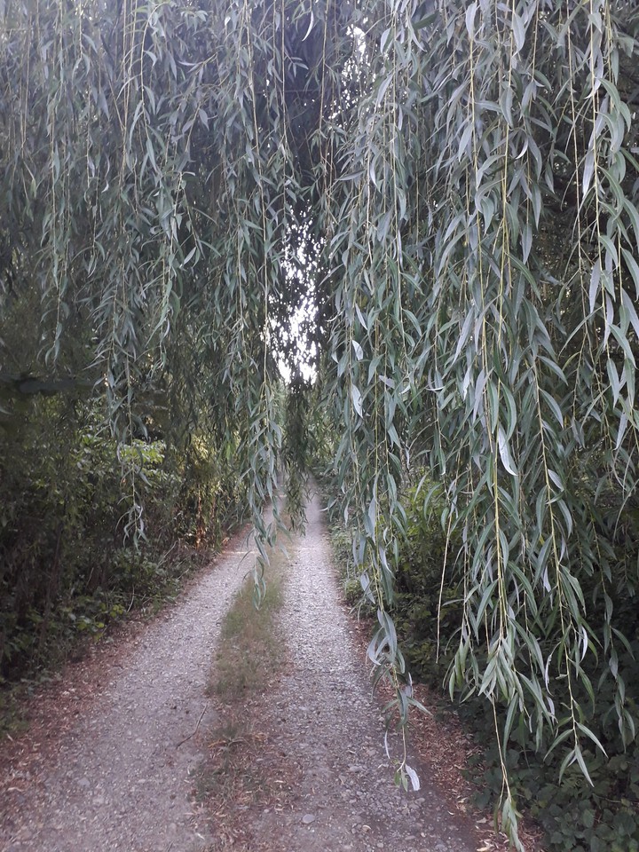 road