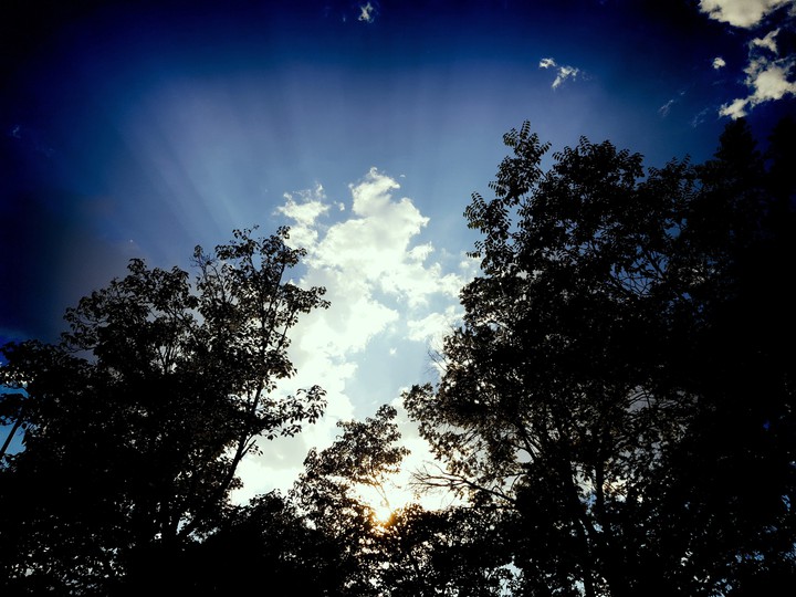 look up