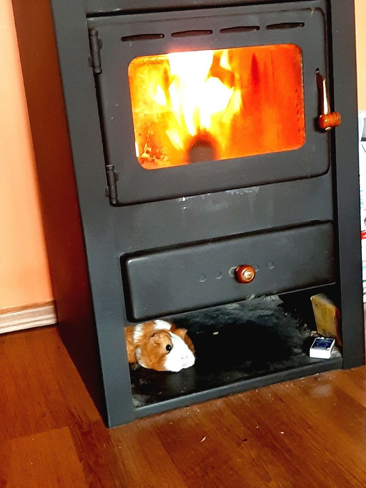fireplace