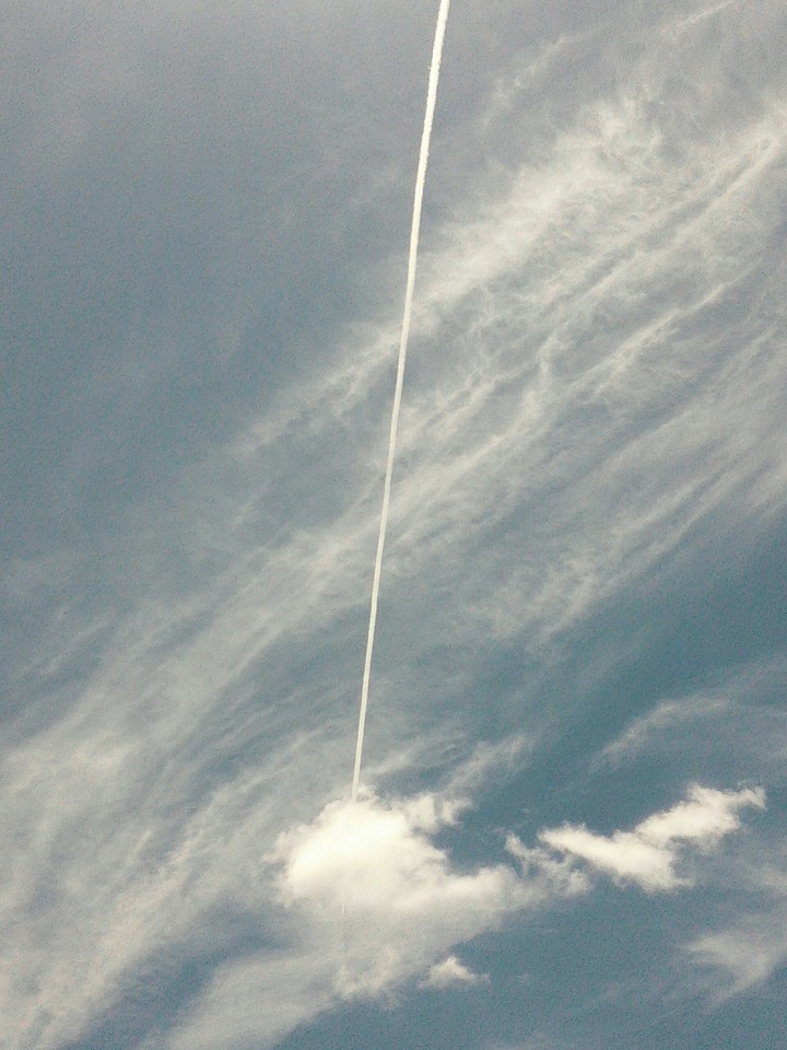 cielo