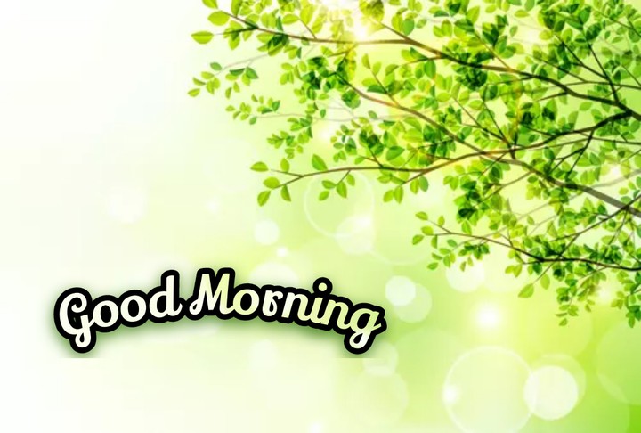 Good Morning