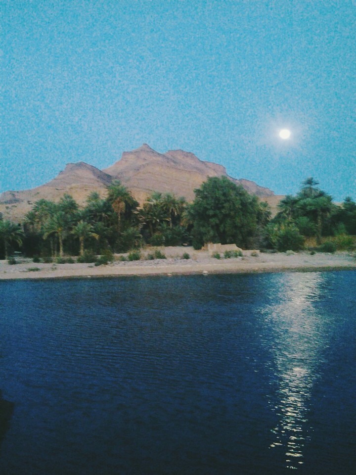 talouin