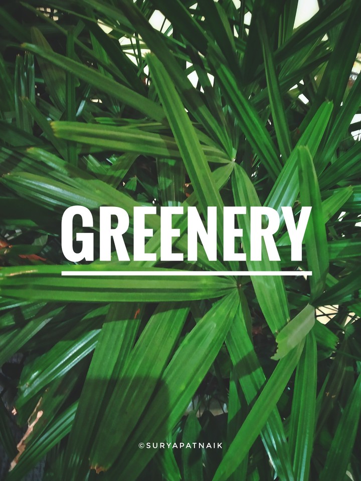 Green is love