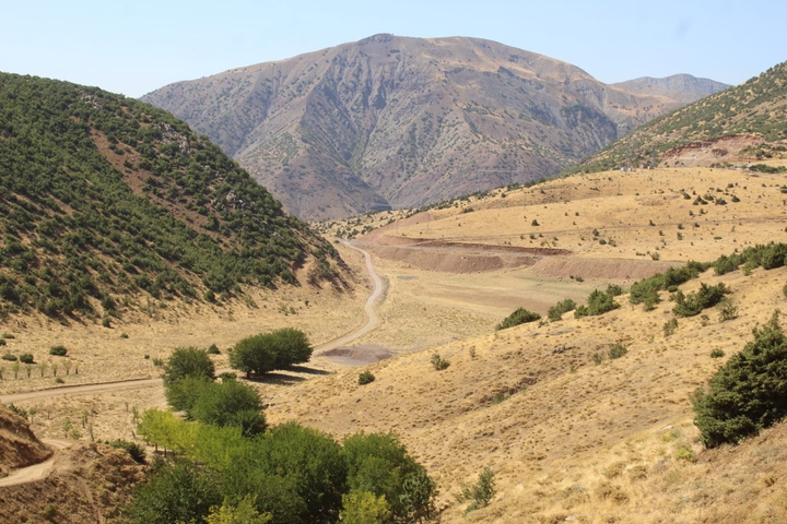 palu turkish