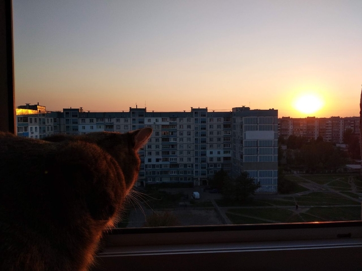 Небо