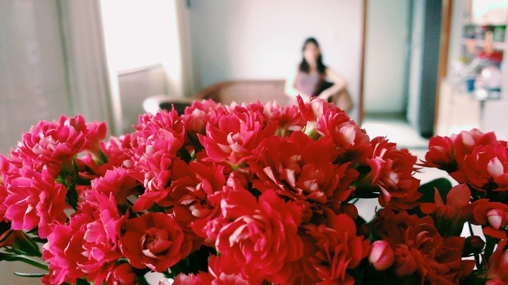 Flores