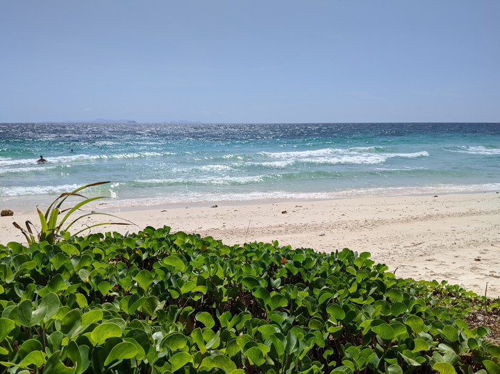 sea
