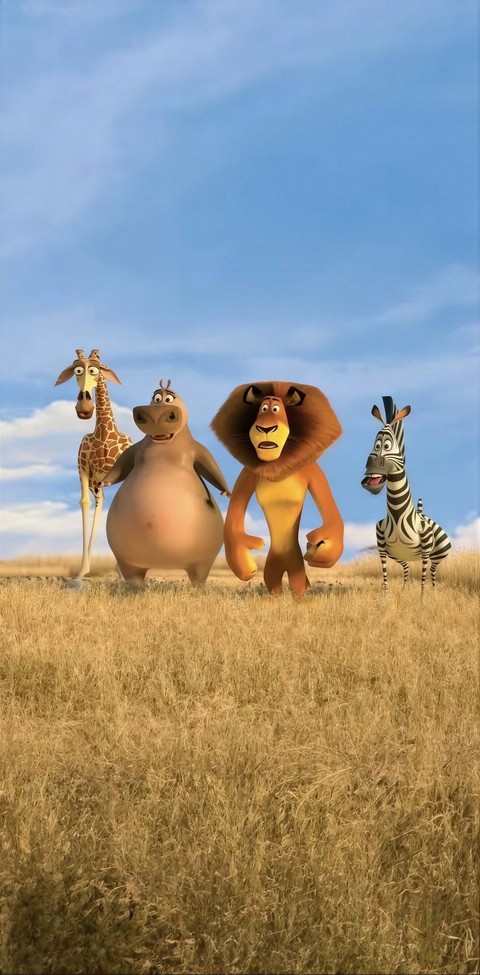 giraffe, felidae wallpapers