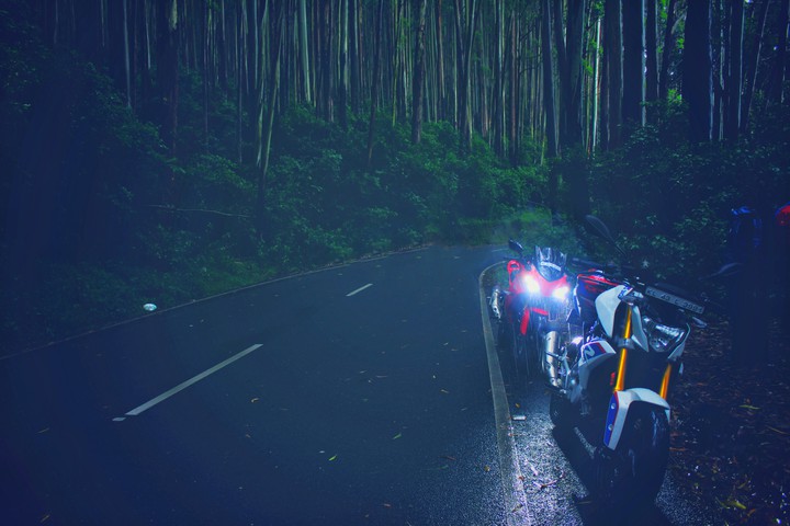 Through the Woods