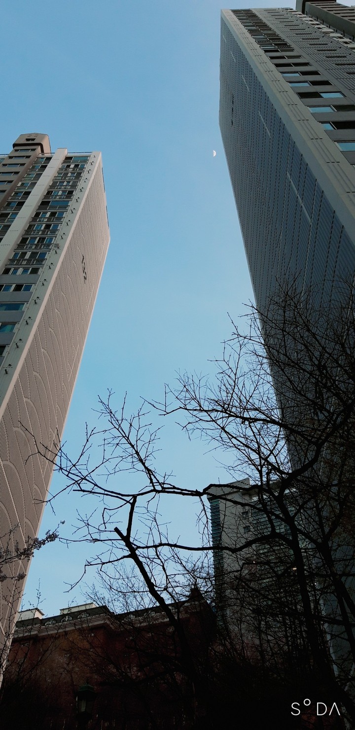 푸르른 하늘. The blue sky