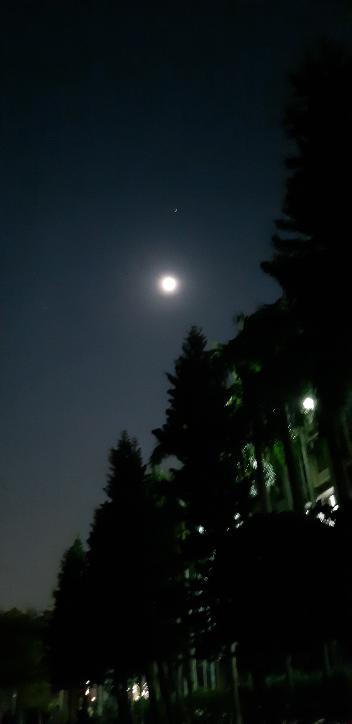 evening