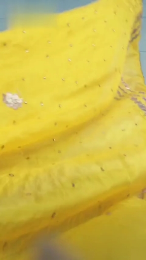 Punjabi madness