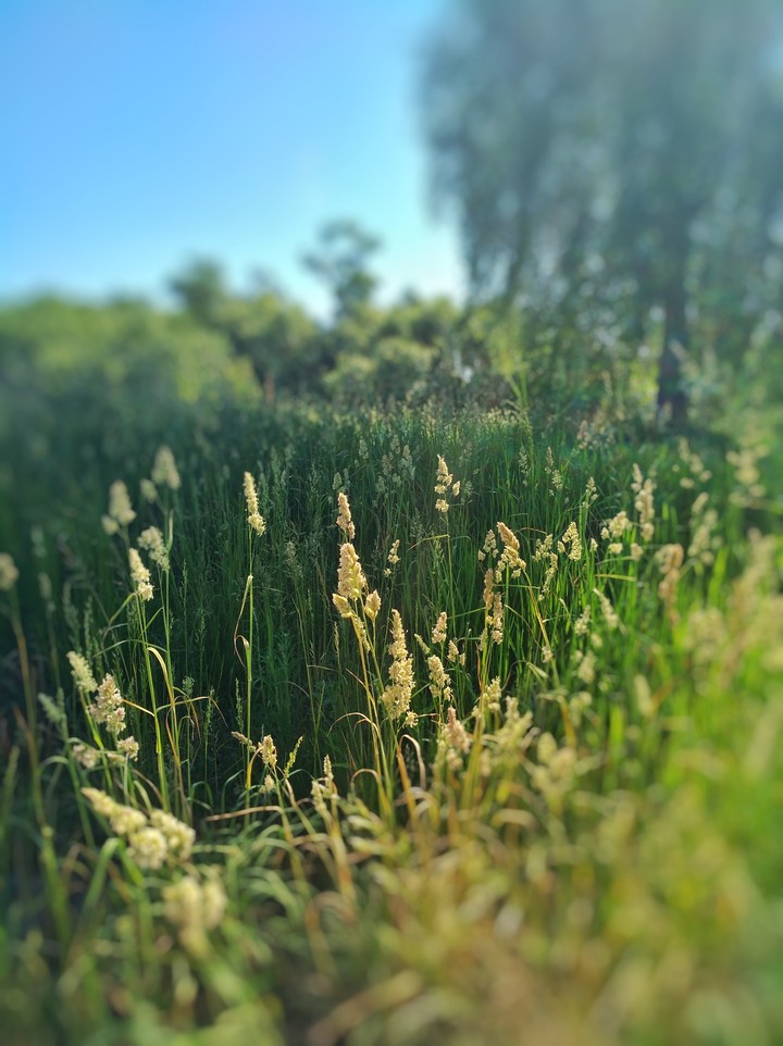 Belarus