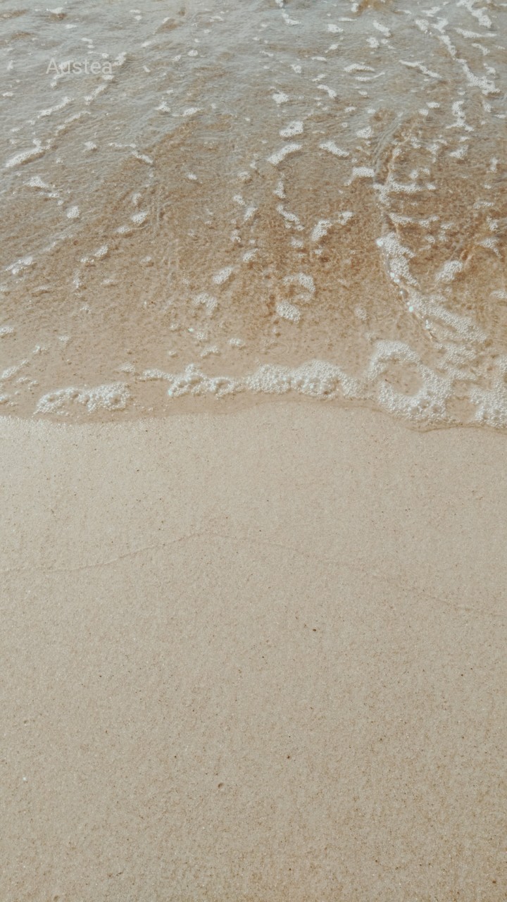 Sea