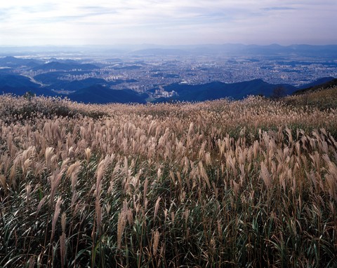 Asia Images
