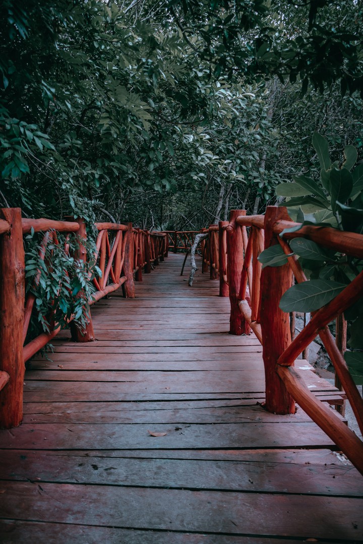 malecón  bajo la selva
