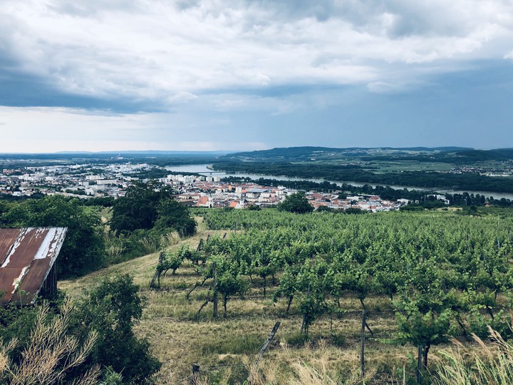 Wachau