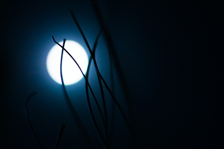 The Moon