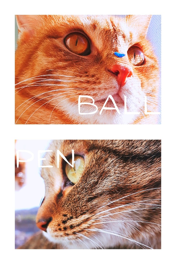 ♥️♥️♥️