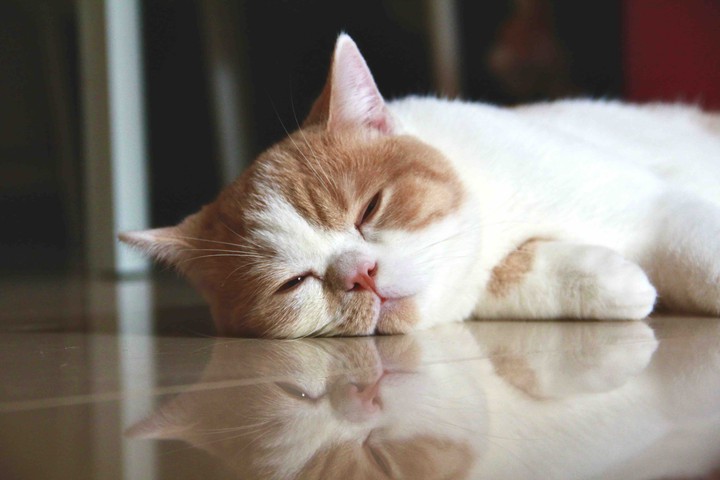 Lovely!