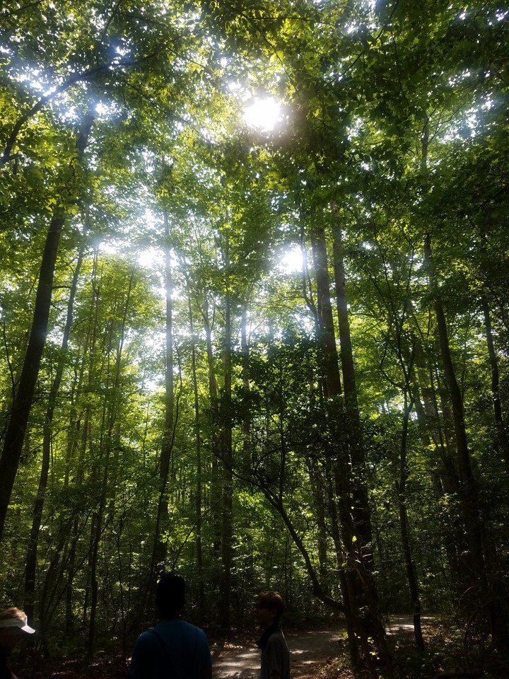 I see the light