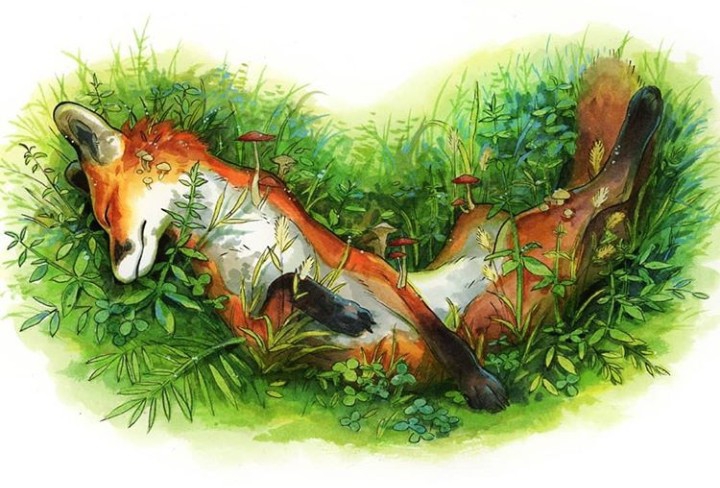 fox art