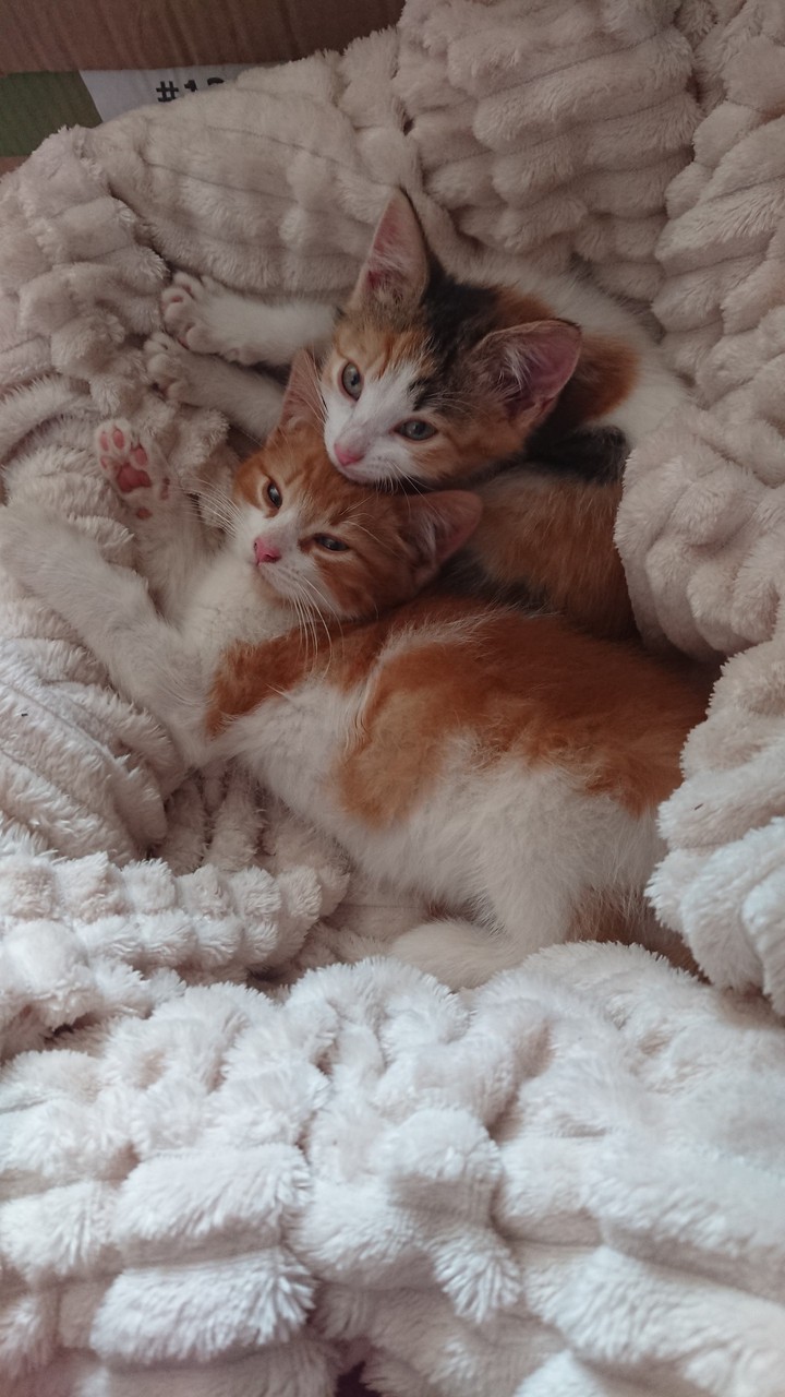 ❤️