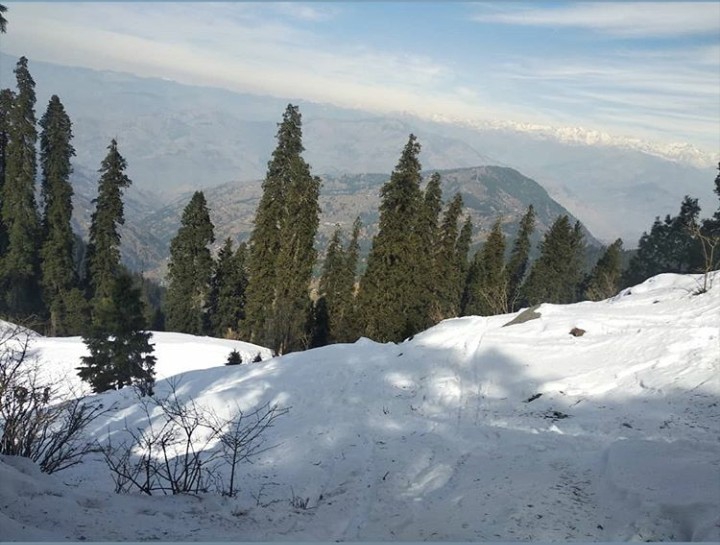 himachal beauty hatu pre-k