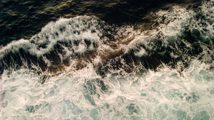 The red sea