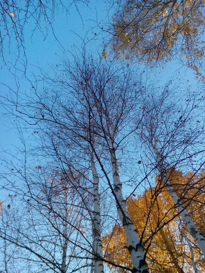 autumn