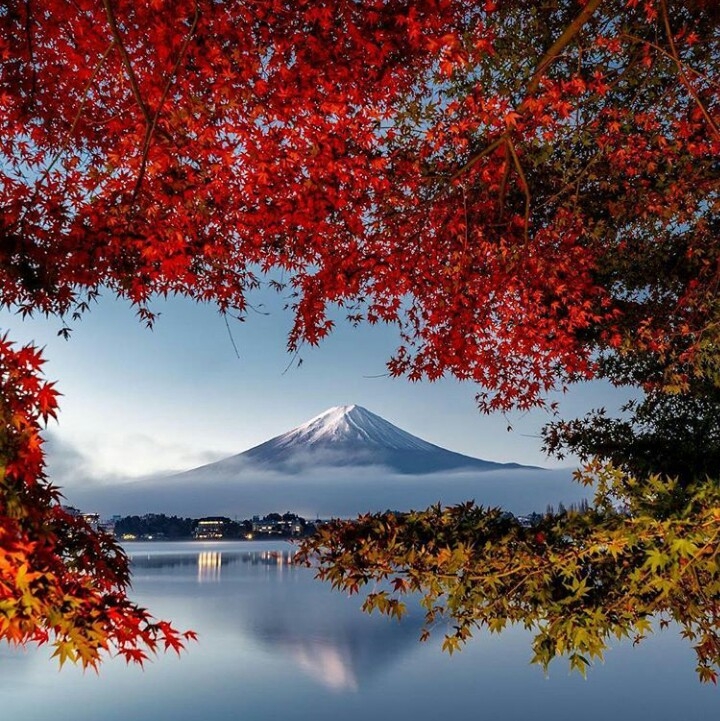 nature...