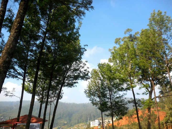 Ooty, Tamilnadu, India