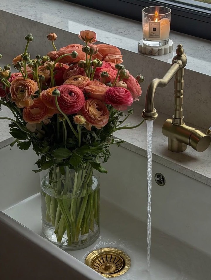 fonds d'écran floristry, tap