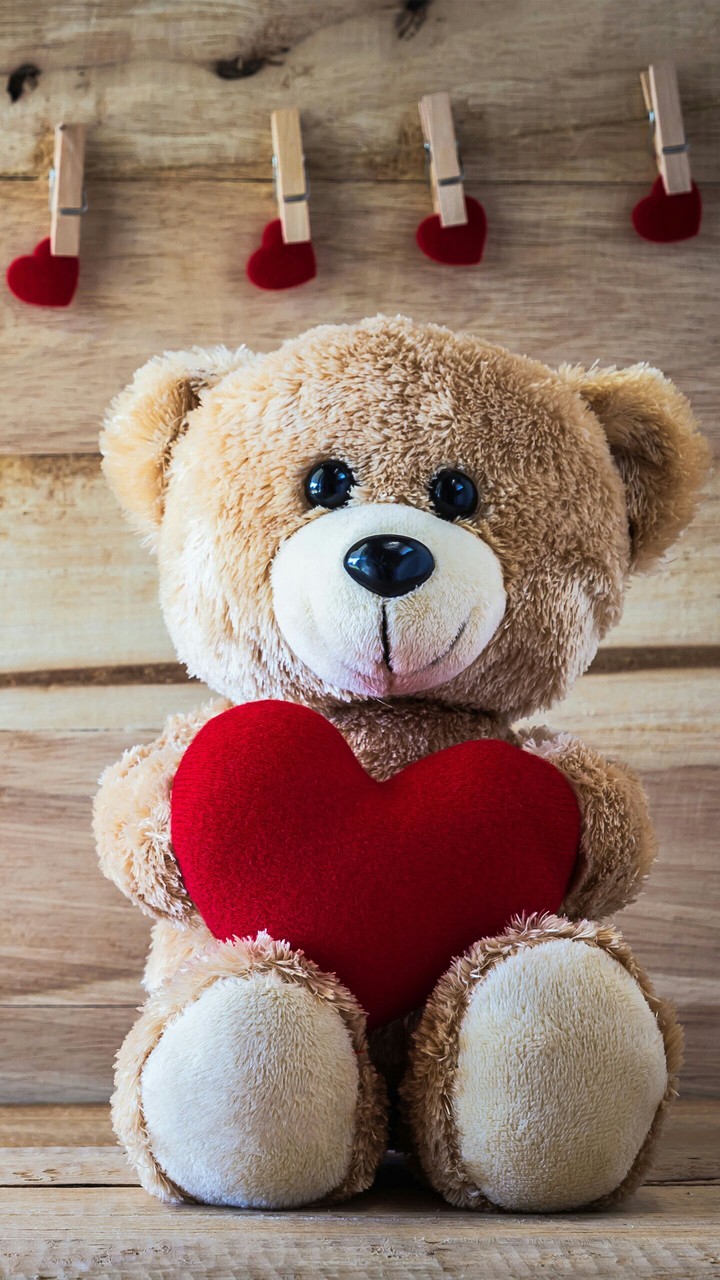 Teddy
